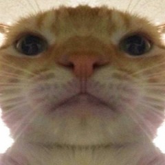 Lil Quantus