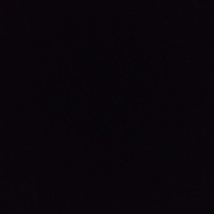 porcinetlolo