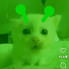 zozo
