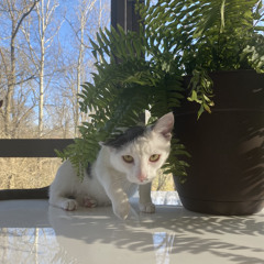 Architzelllllll ✌🏽