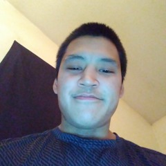 Josh paneak