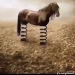 mewoly