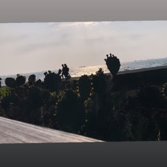 Will I see you again.?