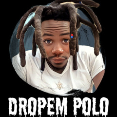 Polo Gemini