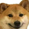 bob
