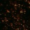 Kydrane