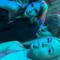 taylorboylan7