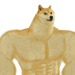 Doge-Star