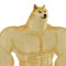 Doge-Star