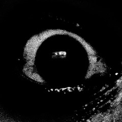 NOVÂFLED