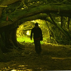 Alexandre O. Robortella