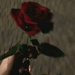 Kadence