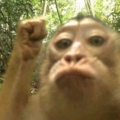 Bìn