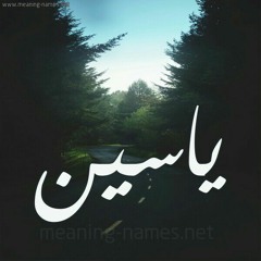 محمد أبو الحج