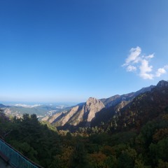 재훈콩