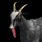 goat simulator