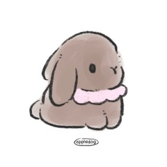 💤