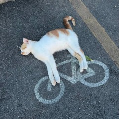 milo