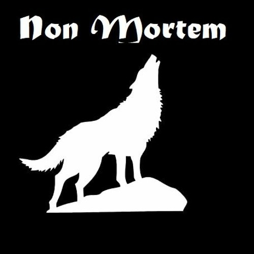 Non Mortem’s avatar