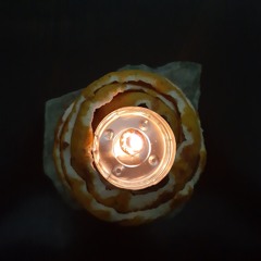 པདྨ་ལྷ་མོ།