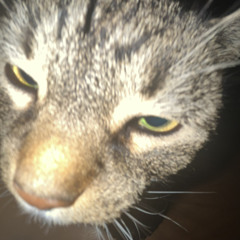 mar 🤫🤑🧟‍♀️