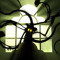 the absolute solver