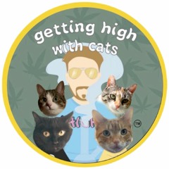 Getting High With Cats