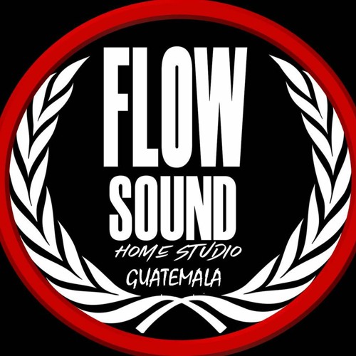 FLOW SOUND LA MELODIA’s avatar