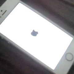 roninnzx [old acc, check bio]