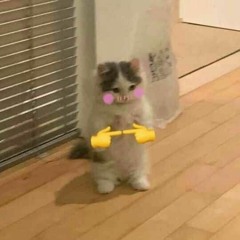User 153169710