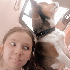 addy and doodle