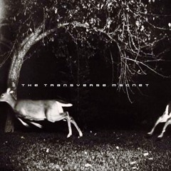 The Transverse Magnet