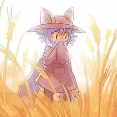 Muusi