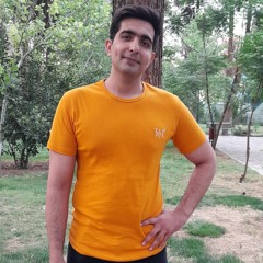 محمد حسینی