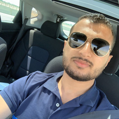 Salah H. Elghandour