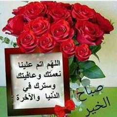 Wael Elawdy