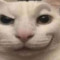 user649092490