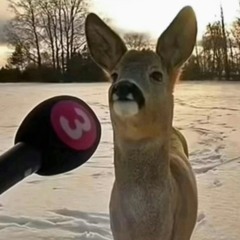 UnicornFarts16