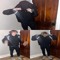 00caml