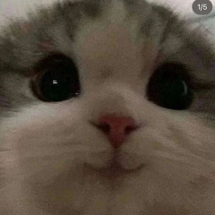 ujoke