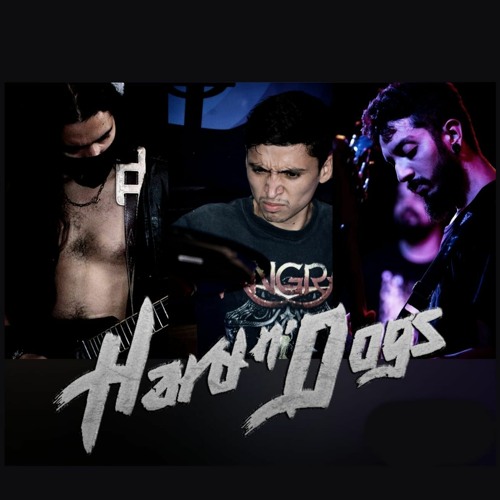 Hard N'Dogs’s avatar