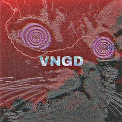 •VNGD•