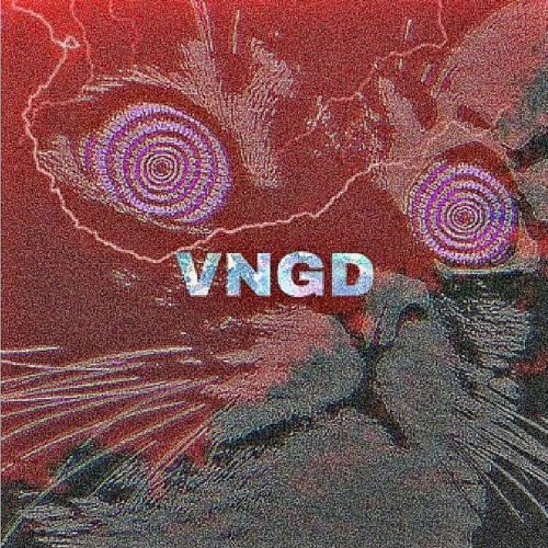 •VNGD•’s avatar