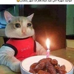 Abdelwahab 11