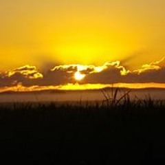 Eyob Mcdonald-Davies