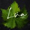 Lúa