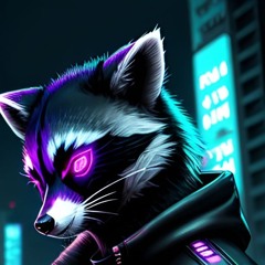 RaMaNaTheRaccoon
