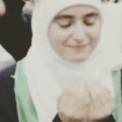 saja saleh