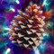 Cosmic Pine Cone