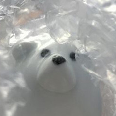 장은결